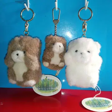 TAKENOKO 곰돌이 패밀리