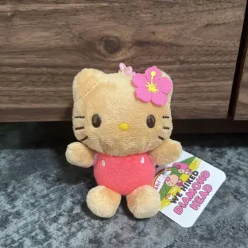 하와이 다이아몬드 헤드 키티 일광화상
