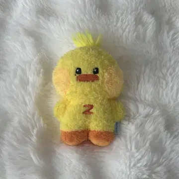 제베원 zb1 zeroni 테니니 봉제 인형