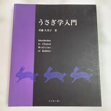토끼학 입문 사이토 쿠미코 저 인터즈