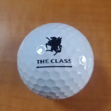 타이틀리스트 Pro V1 골프공