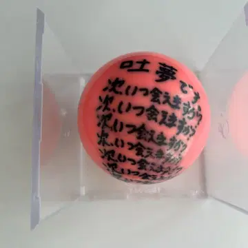 snowman 사쿠마 다이스케 군 사인볼 2023년 6월 18일