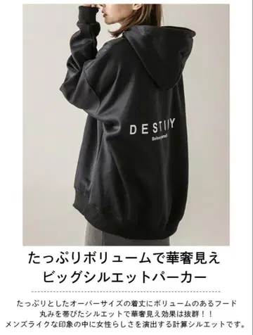 DESTINY 빅 실루엣 후드티 블랙