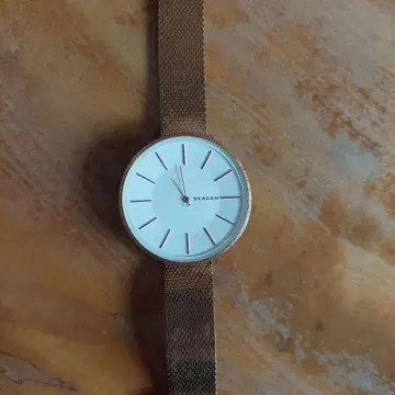 SKAGEN 골드 메쉬 손목시계