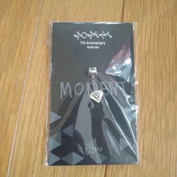 SEVENTEEN Anniversary Bracelet & Charm