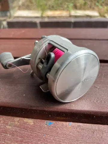 SHIMANO Calcutta 200 베이트 낚시릴 실버