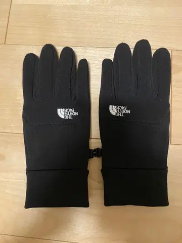 THE NORTH FACE 이칩 그로브 L