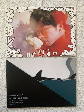 mellow 상어와 헤엄치기 팜플렛