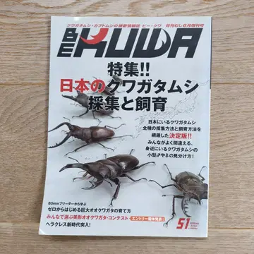 비 쿠와 BE-KUWA 51호 일본의 사슴벌레 채집과 사육 월간 무시