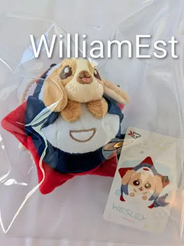 미개봉 새상품 ] WilliamEst 봉제 인형 키체인 GMMTV 공식