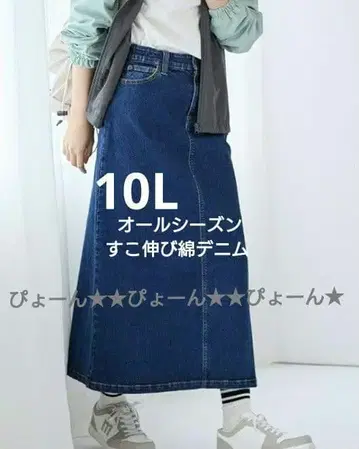 빅 사이즈 10L 1점 한정