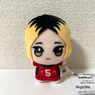 하이큐 치비구루미 봉제 인형 코즈메 켄마