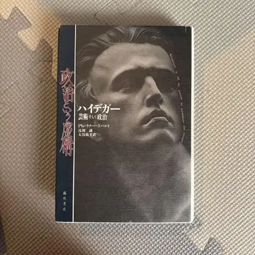 하이데거 정치와 예술