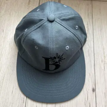 Bott 로고 캡