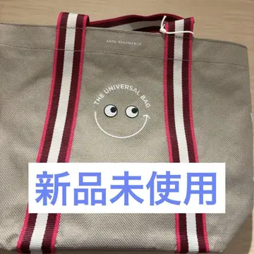 아냐 세이조 이시이 유니버셜 백 미니