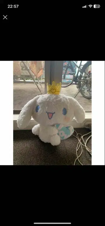 최종 가격 인하! 시나몬 Big 봉제 인형