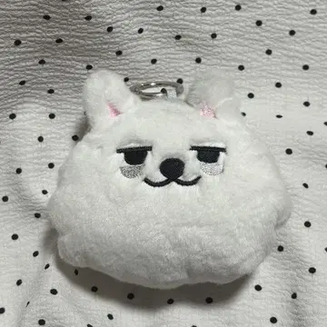 코인 케이스 수빈 TXT