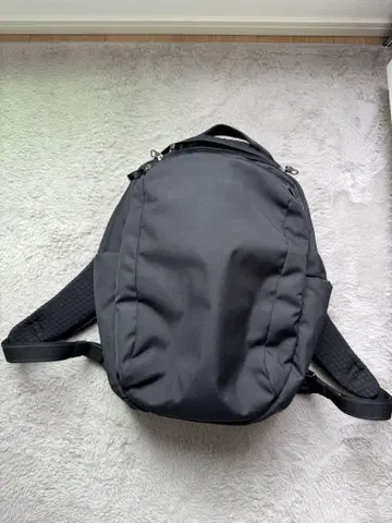 팩세이프 블랙 나일론 백팩