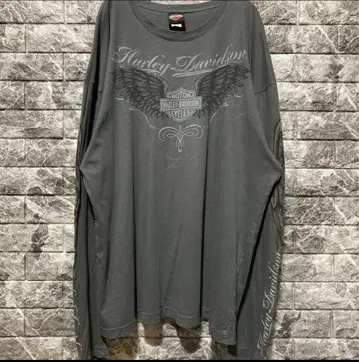 레어 HARLEY DAVIDSON 롱T USA제 하레이 2XL 소매 로고