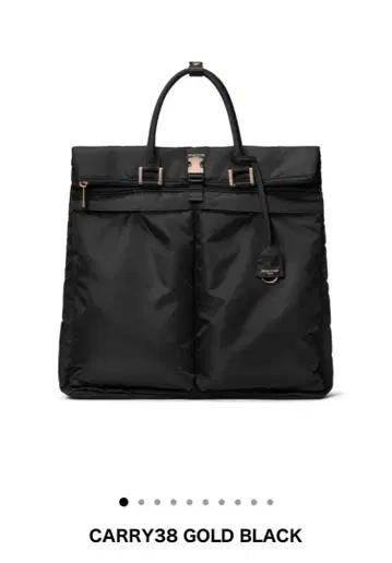 SELENT ETHER 세레인 에테르 CARRY38GoldBLACK