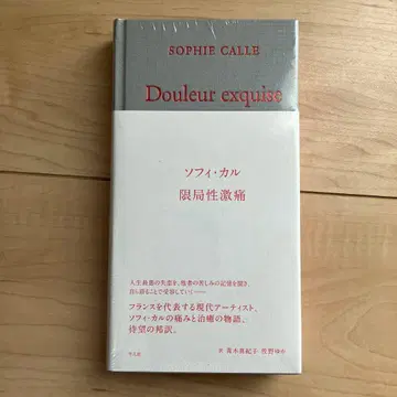 국소성 격통 소피 칼