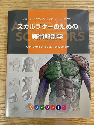 스컬프터를 위한 미술 해부학