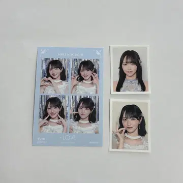 4컷 이코러브 노구치 이오리