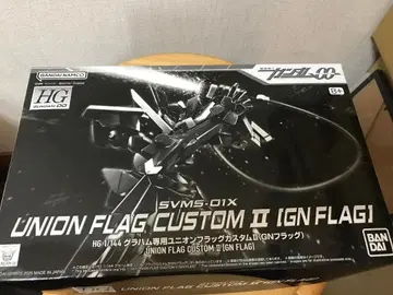 HG GN 플래그
