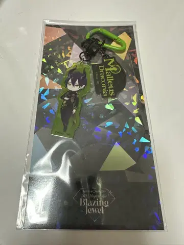 트위스테 브레이징 주얼 SD 아크릴 참 마레우스