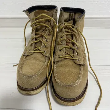 REDWING 개택 8173 8E 아이리쉬 세터 90s