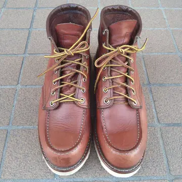 레드윙 아이리쉬 세터 목토 깃털 택 25.5cm