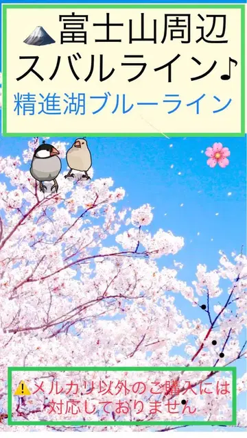 버스 가이드 자료 텍스트 교본 [ 후지산 주유 쇼지호 블루 라인 ]