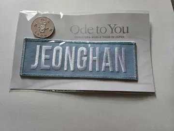 JEONGHAN Ode to You 핀 배지