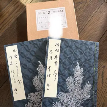 호쇼류 요본 지효시 요본 제3회
