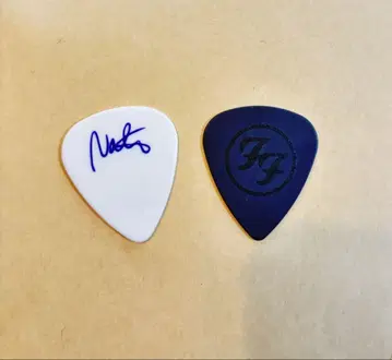 FOO FIGHTERS 후 파이터즈 데이브 네이트 기타 피크