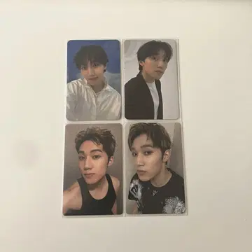 WILDBLUE 스즈카와 나오야 POP 트레이딩 카드