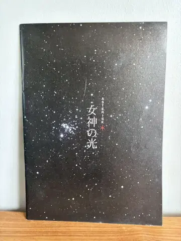 여신의 빛 팜플렛
