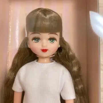 리카짱 캐슬 레트짱