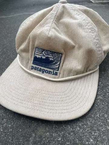 patagonia 호쿠사이 2016 캡 파타고니아