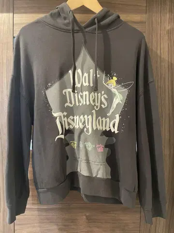 Disney 100 다크 브라운 후드티 S