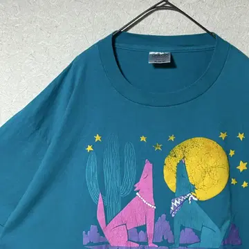 USA제 80s ONEITA 애리조나 T셔츠 오니타 빈티지