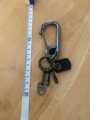 카라비너