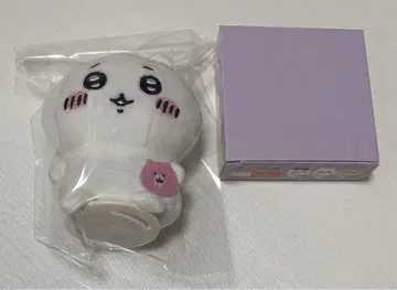 치이카와 피타레스트