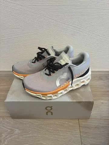 신색 미사용 새상품 On 클라우드 몬스터 2 25cm