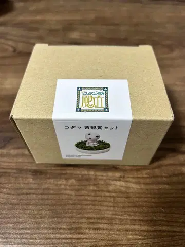 지브리 파크 코다마 이끼 감상 세트 로탄다풍가오카