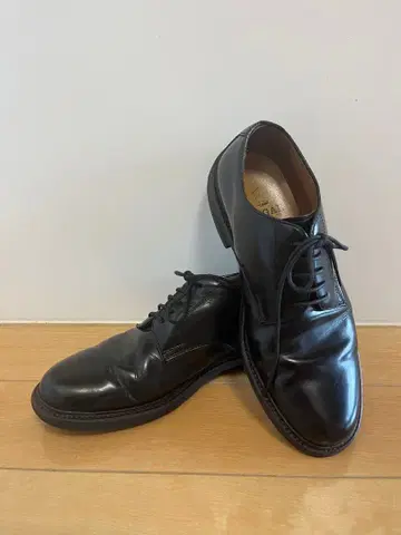 E5G4191C Y483 REGAL 24.5 플레인토