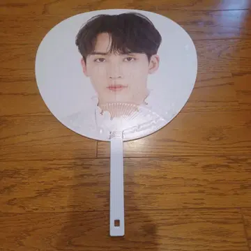 SEVENTEEN 정한 부채