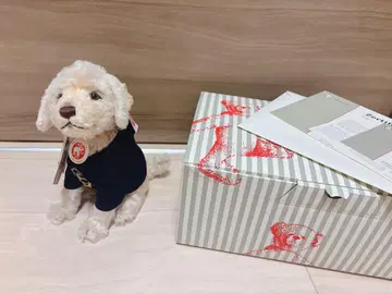 Steiff 슈타이프 노티컬 니키 도그 강아지 개