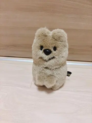 정크푸드 오페라 쿼카짱