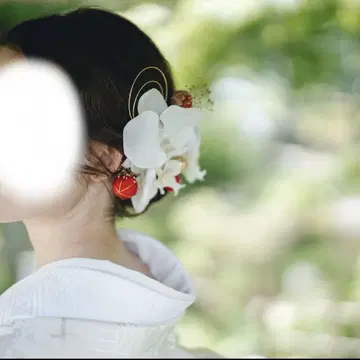 웨딩 헤어 액세서리 팔레놉시스